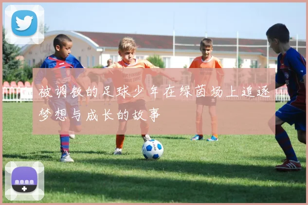 被调教的足球少年在绿茵场上追逐梦想与成长的故事
