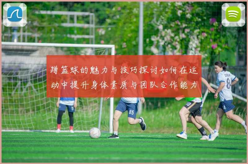 蹲篮球的魅力与技巧探讨如何在运动中提升身体素质与团队合作能力