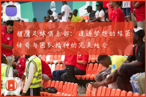 猎鹰足球俱乐部：追逐梦想的绿茵传奇与团队精神的完美结合