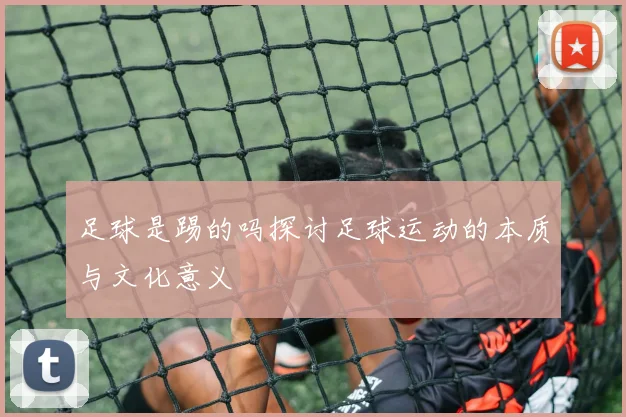 足球是踢的吗探讨足球运动的本质与文化意义