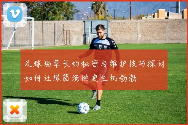 足球场草长的秘密与维护技巧探讨如何让绿茵场地更生机勃勃