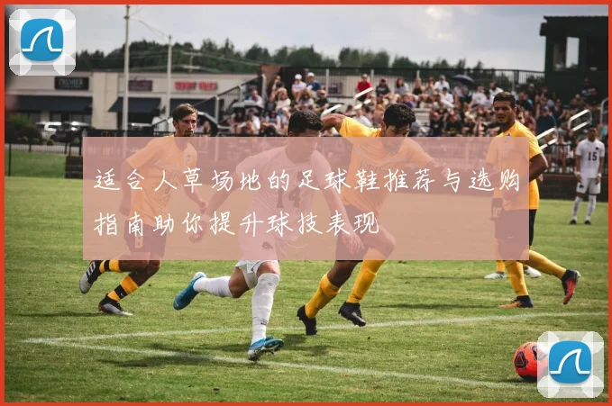 适合人草场地的足球鞋推荐与选购指南助你提升球技表现
